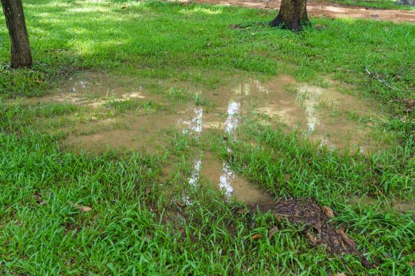 Cost of Storm Water Drainage Service in Danbury