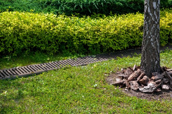 Residential Landscape Drainage in Danbury
