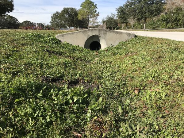 Cost of Swale Drainage Service in Danbury